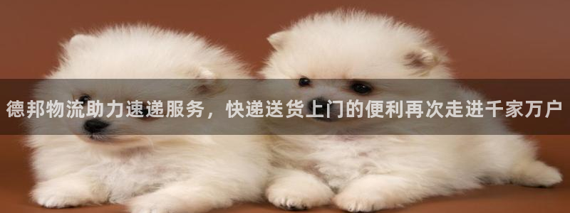 多多28账号注册