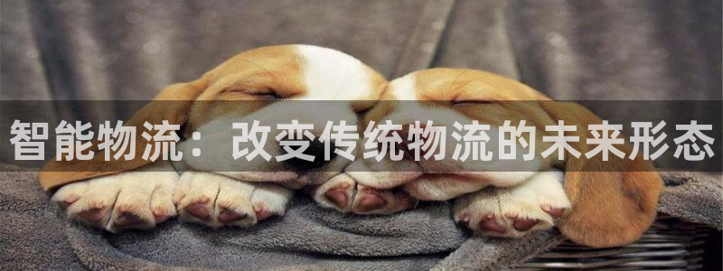 多多28软件是什么：智能物流：改变传