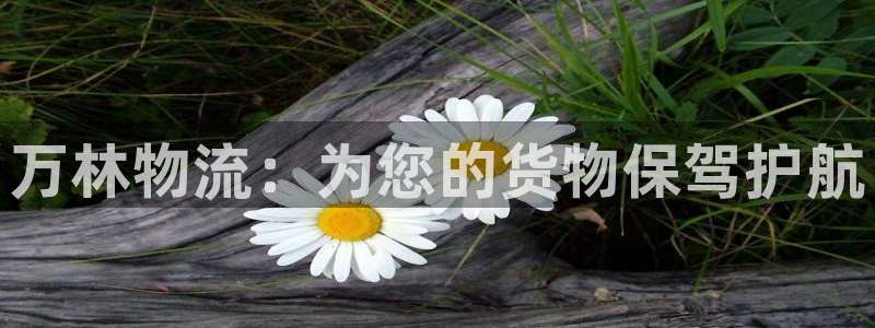 多多28开奖预测：万林物流：为您的货