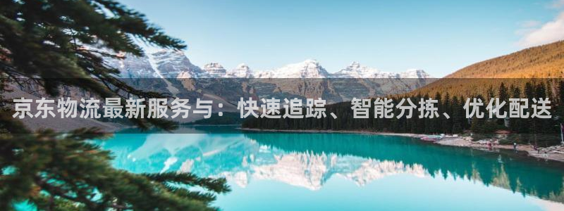 多多28比特28预测在线预测