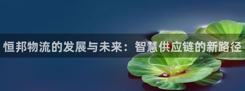 多多28官网入口南宫：恒邦物流的发展
