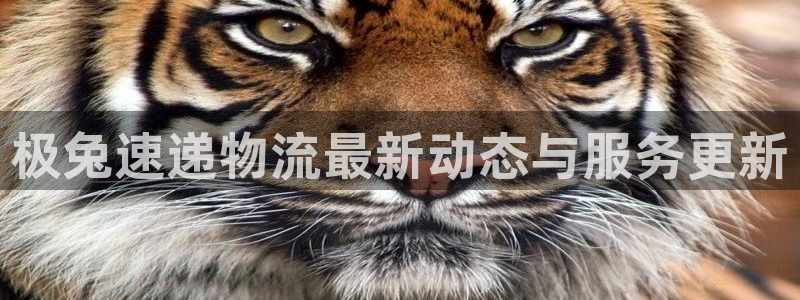 多多28机器人是什么软件：极兔速递物