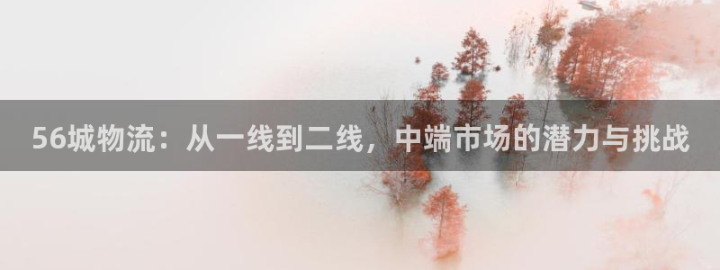 多多28黑平台吗