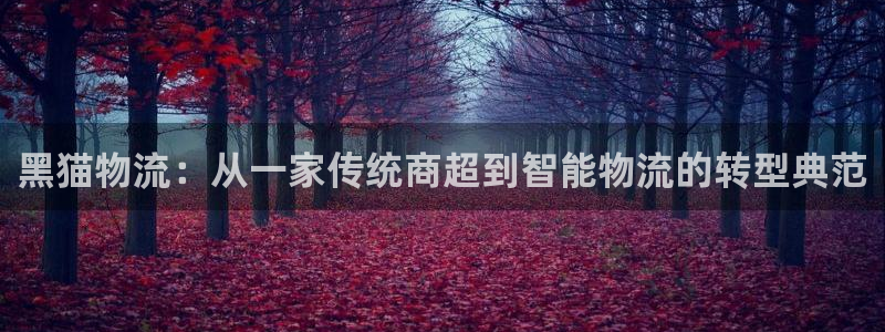 多多28官网入口pc29官网版下载：