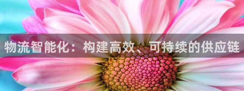多多28官方官网版