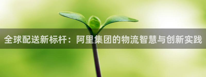 多多28和南宫28什么关系