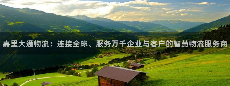 多多28图片：嘉里大通物流：连接全球