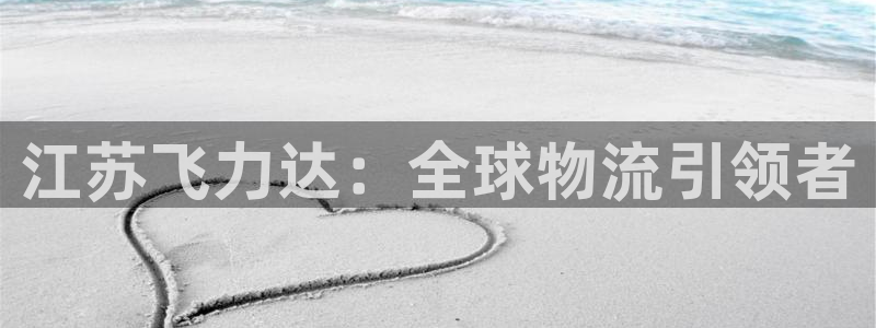 多多28充值不到账：江苏飞力达：全球