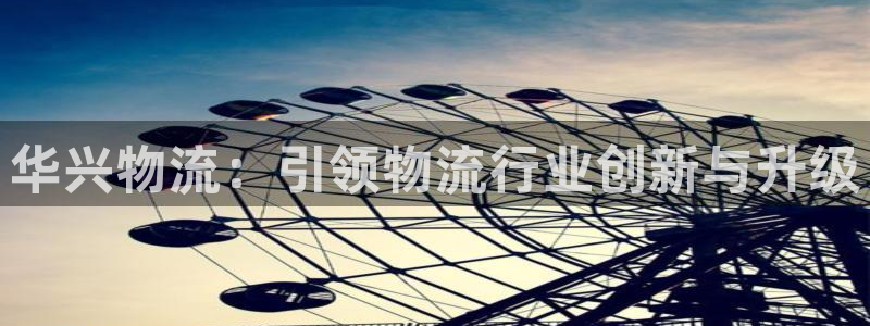 多多28如何看计划:华兴物流:引领物