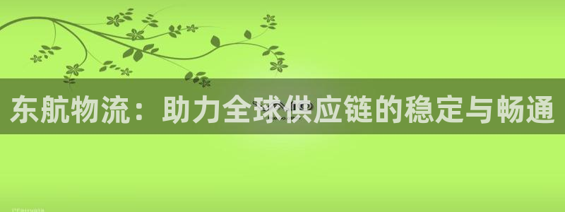 多多28登录用户名登录不上:东航物流