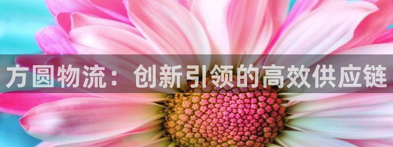 多多28能赢钱吗:方圆物流:创新引领