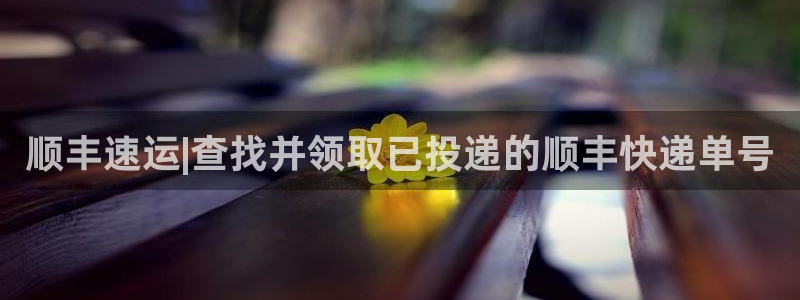 多多28电子游戏