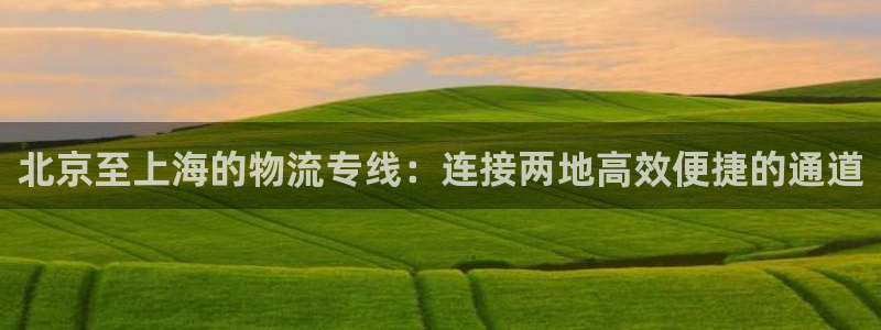 多多28能不能退:北京至上海的物流专
