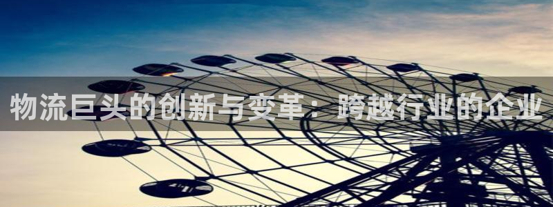 多多28反水什么时候到:物流巨头的创