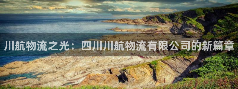 多多28娱乐官网网页:川航物流之光: