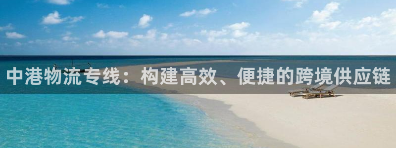 多多28取保:中港物流专线:构建高效