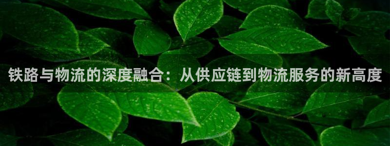 多多28官网网站:铁路与物流的深度融