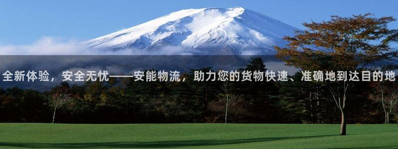 多多28加拿大模拟器:全新体验,安全