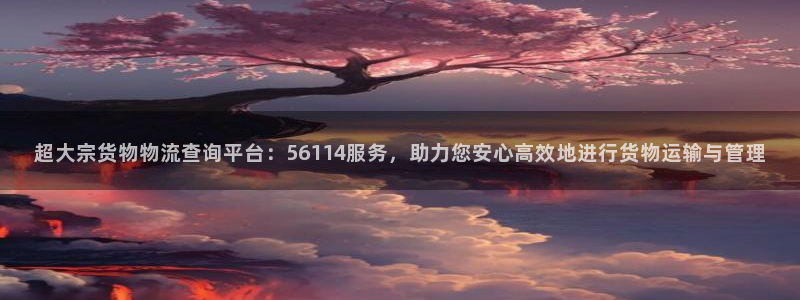 多多28登录流程:超大宗货物物流查询