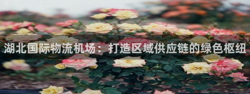 多多28官方:湖北国际物流机场:打造