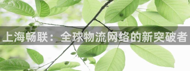 多多28体育下载:上海畅联:全球物流