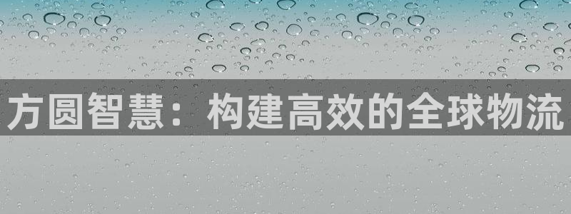 多多28圈助手:方圆智慧:构建高效的