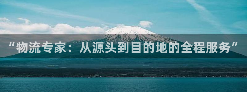 多多28pg麻将胡了:“物流专家:从